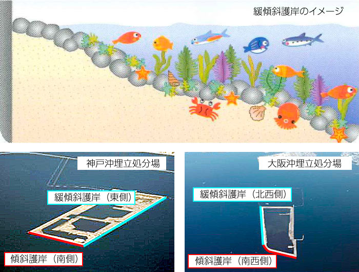 緩傾斜護岸のイメージ