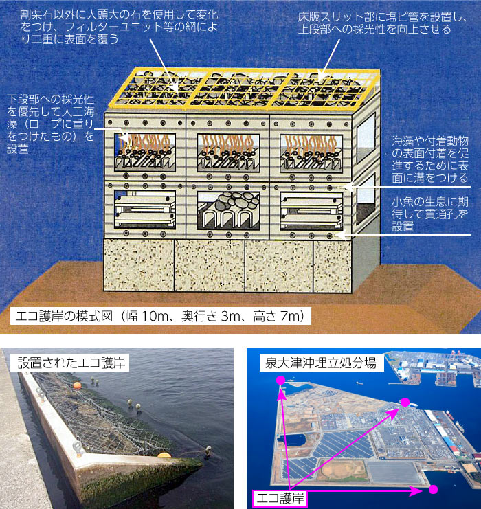 エコ護岸の模式図