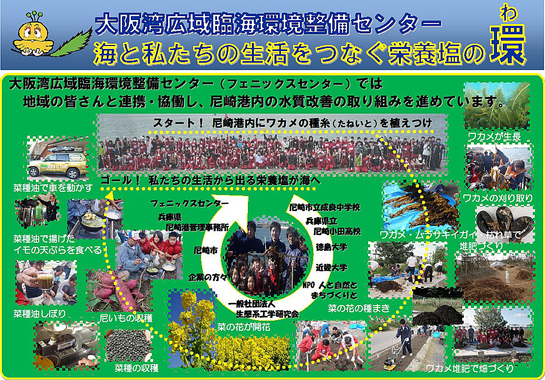 ワカメを用いた水質改善の取組